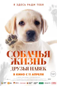 Собачья жизнь: Друзья навек  смотреть онлайн в хорошем качестве